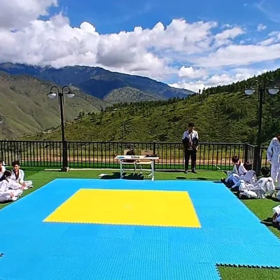 THS Taekondow Class