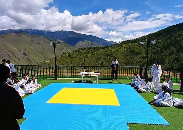 THS Taekondow Class