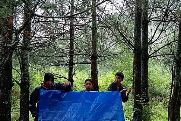 THS student activity